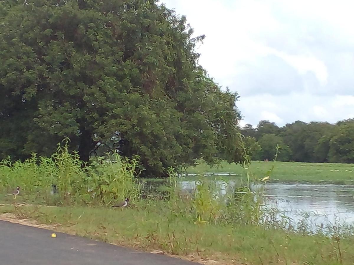 Lake Edge Dambulla Exterior photo